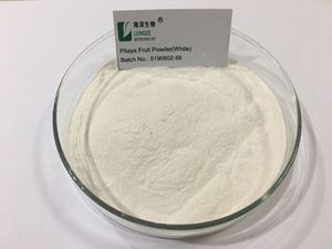 Polvere di Frutta del Drago <span class=keywords><strong>Bianca</strong></span> Fresca di Grado Alimentare, Estratto Erboristico all'Ingrosso, Senza Ingredienti Artificiali, Test UV, Frutta del Drago Naturale Essiccata - Product Image 2