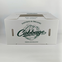 Boîte à choux en plastique ondulé PP personnalisée, de qualité alimentaire, imperméable, recyclable, ventilée, pour l'emballage des produits frais, légumes