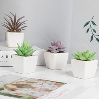 Irand Barrel Cactus Desert Floral succulente per la decorazione dell'ufficio domestico piante grasse artificiali