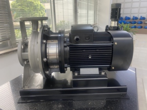 ปั๊มเพิ่มแรงดันสแตนเลสคุณภาพสูง ZS สำหรับอุปกรณ์กรองน้ำระบบ Reverse Osmosis OEM น้ำสะอาด ZS65-40-200/5.5 Zs High Stain - Product Image 4