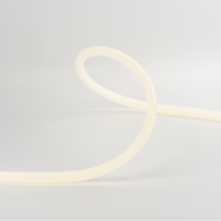 Ruban LED néon flexible personnalisable de 25 mm, 360° omnidirectionnel, sans points, résistant aux UV, IP65, couleur réglable, gradation pour salle de réception