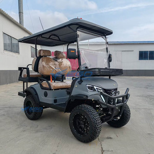 Carrito de Golf Eléctrico Profesional de Cuatro Plazas, Color Gris, Convertible, Ideal para Golf y Ocio - Product Image 3