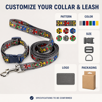 Ensemble collier et laisse pour chien, personnalisable (couleur, logo, emballage, sangle imprimée), direct usine, pour promenades en ville et séances d'entraînement