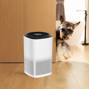 Breathe Clean Air With Our Portable Desktop Air Purifier - Perfect For Home Or Office