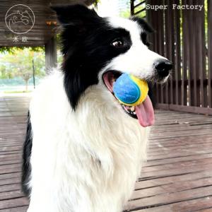 Nuovi Prodotti di Lusso per Animali Domestici: Palla Elastica Solida per Cani, Giocattolo in Gomma Ecologica e Peluche per Gioco Interattivo, Confezionato in Sacchetto - Product Image 2