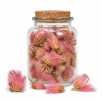 Thé aux fleurs d'albizia séchées 500g en vrac, thé naturel apaisant pour le sommeil, en feuilles, sans soufre