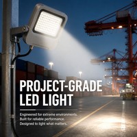 Projecteur LED de sécurité 100W IP66 étanche à haut lumen pour la sécurité périmétrique des portails commerciaux