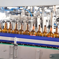 Machine de remplissage de bouteilles de bière en acier inoxydable haute efficacité, prête à être expédiée, vente en gros, approuvée CE