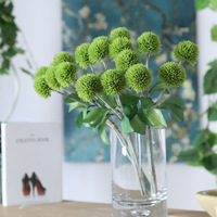 AF0801 Benih Bunga Marigold Hibrida Emas Berkualitas Tinggi Tagetes Erecta L. Benih untuk Ditanam-Ajaib