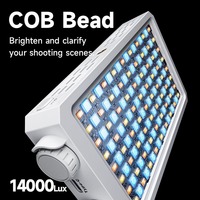 Lampe de remplissage V25RGB CRI95+ 2500K-9000K, LED de poche RGB, batterie 4400mAh, écran OLED pour caméra, vlog et diffusion en direct