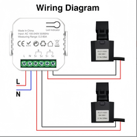 Interrupteur intelligent sans fil 220V à commande vocale (Alexa/Google) avec autocollant mural longue portée pour éclairage domestique et protection contre les surcharges