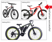 Batterie de vélo électrique au lithium-ion 36V 20Ah 25Ah 48V 15Ah 18Ah Hailong G80 de haute qualité pour la conversion de vélo électrique