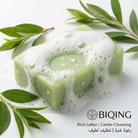 Savon Solide Vegan au Thé Vert, Écologique Sans Plastique, Nettoyant Herbal Menthe Eucalyptus, Soin Biodégradable pour la Peau
