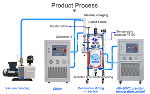 Glass Reactor with Multiple Accessories for Enhanced Functionality - Product Image 2