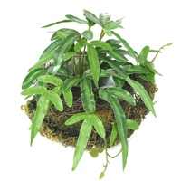 Plante artificielle suspendue de type pterisque avec des feuilles longues et variées pour une petite décoration murale