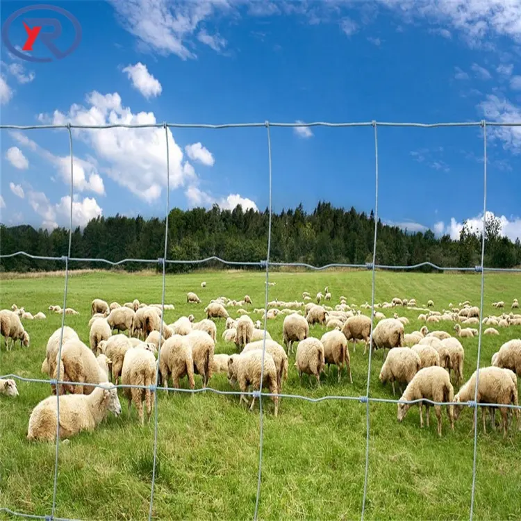 Galvanized Wire Mesh Fence For Cattle sheep Hinge Joint Field Fence