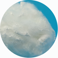 Raw Polyester Fiber Staple Material 1.2d 38mm