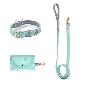 Correa de cuero para perros y gatos, accesorio de marca personalizada con nombre, para exteriores, <span class=keywords><strong>collar</strong></span> clásico para mascotas y bolsa de caca, PU - Product Image 4