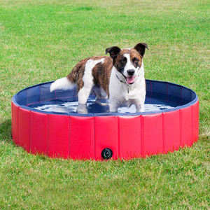 bone shaped dog pool cheap