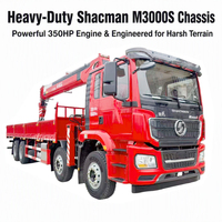 Camion grue à bras télescopique personnalisable Shaanxi Automobile Delong 8 * 4 châssis 18 tonnes