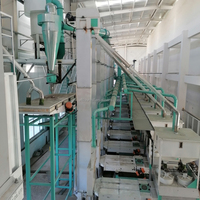 Machine agricole 30 tonnes d'épluchage de sarrasin doux moulin à farine de semoule ligne de production complète