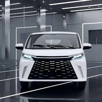 SUV électrique de luxe léger, 5 portes, 5 places, capacité de 45 km/h, capacité de charge de 1000 kg, pour usage domestique, véhicule à faible vitesse pour adultes