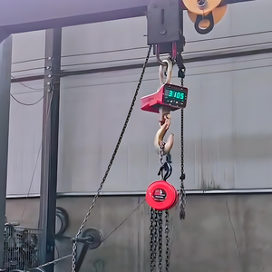 Высококачественная цепная таль с ручным управлением и грузоподъемностью G80, 3 тонны, 5 тонн - Product Image 6