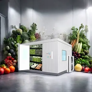 Cost-Effective Cold Room Storage For Fruits And Vegetables