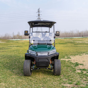 Voiturette de golf avec porte-bagages arrière et porte-gobelets, aménagement efficace, grande praticité pour les terrains de golf - Product Image 6