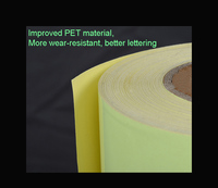 Película Luminosa PET con Adhesivo, Brilla en la Oscuridad, para Señales de Salida de Emergencia, Tamaño Personalizado Disponible, Suministro de Fábrica