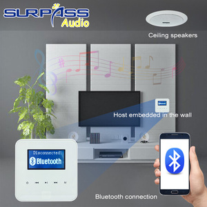 PW230 + C520H sistema Audio domestico WIFI blu-troppo amplificatore MUZO apparecchi di controllo Radio a filo con altoparlante a soffitto - Product Image 3