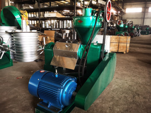 2 tấn mỗi ngày CE phê duyệt dầu đậu phộng pressers Báo Chí lạnh máy dầu HJ-P95 tự động hạt hướng dương vắt dầu - Product Image 6