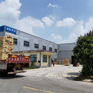 Panneau en bois Annonce <span class=keywords><strong>de</strong></span> bébé Grossesse Révèle des idées d'annonce Surprise <span class=keywords><strong>de</strong></span> bébé - Product Image 6