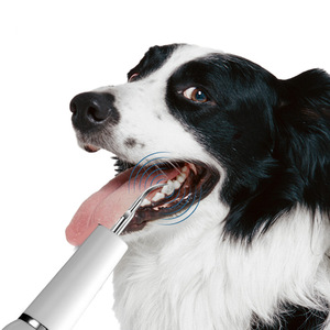 High Frequency Usb Rechargeable Waterproof <strong>Dental</strong> Scaler Vibrating Pet Ultrasonic Tartar Calculus Tooth Cleaner for Dogs <strong>Cats</strong> - Product Image 5