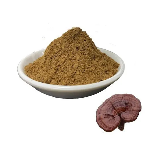 FST Biotec Oem แคปซูลสำหรับ Lion Mane / Reishi /Chaga /Cordyceps Sinensis สารสกัดจากเห็ดผงที่มีตัวอย่างฟรี