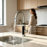 Robinet d'eau chaude électrique instantané 3000W-3500W en acier inoxydable avec LED IPX4, autonome et économe en énergie pour cuisine, camping-car, hôtel, maison