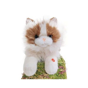 Peluche chat Ragdoll, adorable poupée, petite peluche chaton, décoration d'intérieur, cadeau de fêtes, cadeau pour enfants - Product Image 6