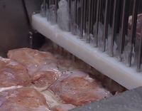 Máquina de Inyección de Salmuera para Carne, Eléctrica, Automática, Motorizada, de Alta Eficiencia, Industrial, para Pollo