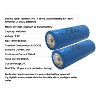 Compteur d'eau intelligent à colonne ER18505, batterie cylindrique au lithium Li-SOCL2 3,6 V 4000 mAh, durée de vie de 10 ans, électronique grand public, usage domestique