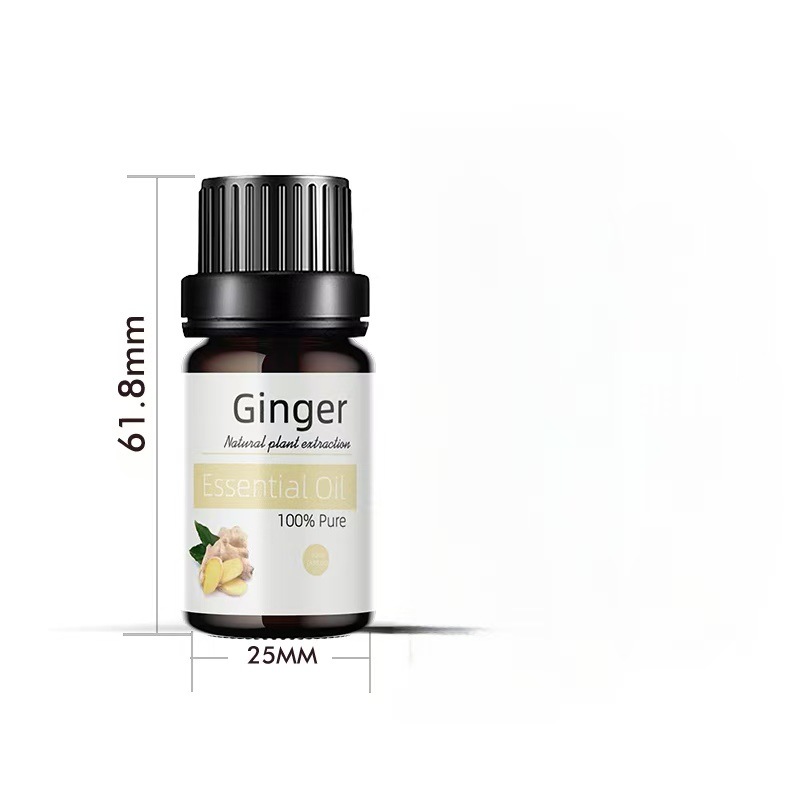 Gingembre