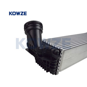 <span class=keywords><strong>Intercooler</strong></span> pour <span class=keywords><strong>BMW</strong></span> X5 E70 <span class=keywords><strong>X6</strong></span> E71 X5 F15 <span class=keywords><strong>X6</strong></span> F16 2008-2016 17517809321 - Product Image 4