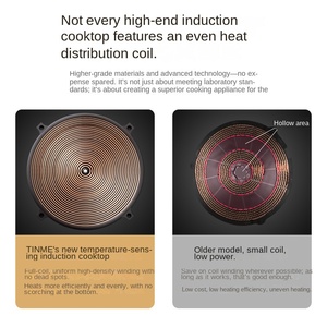 Table de cuisson à induction 2000W haute puissance, panneau microcristallin noir, surface en acier inoxydable, commande tactile, usage commercial, 24 zones intégrées - Product Image 2