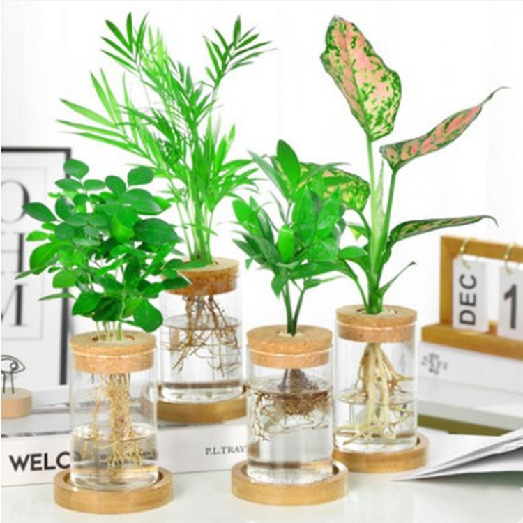 Clear Thickened Glass Vase Home Office