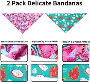 عصابات قطنية مخصصة للكلاب بالجملة عصابات قطنية عضوية للحيوانات الأليفة - Product Image 6