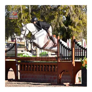 Equine major competition and activity used horse products horse jump wing