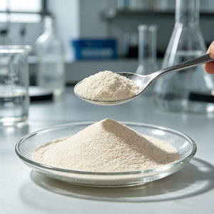Polvo Probiótico de <span class=keywords><strong>Lactobacillus</strong></span> <span class=keywords><strong>Plantarum</strong></span> de Alta Calidad, Grado Alimenticio, 10 Mil Millones de UFC/g, para Ayudar a Dormir - Product Image 2