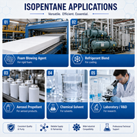 Isopentane Premium CAS 78-78-4 99% Qualité Industrielle Matière Chimique pour le Traitement Chimique Approvisionnement à Long Terme