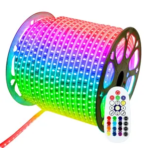 Đèn Dây Led Thay Đổi Màu 240V 230V 110V 220V RGB 5050 Có Điều Khiển Từ Xa