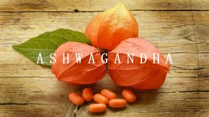 Qyherb cung cấp nước hòa tan và debitorize <span class=keywords><strong>Ashwagandha</strong></span> chiết xuất withanolides 2.<span class=keywords><strong>5</strong></span>%-<span class=keywords><strong>5</strong></span>% hplc - Product Image 4