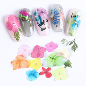 Coffret de fleurs séchées 3D stéréo pour la décoration des ongles, <span class=keywords><strong>gel</strong></span> UV, pétales de plantes réelles, accessoires pour ongles - Product Image 6